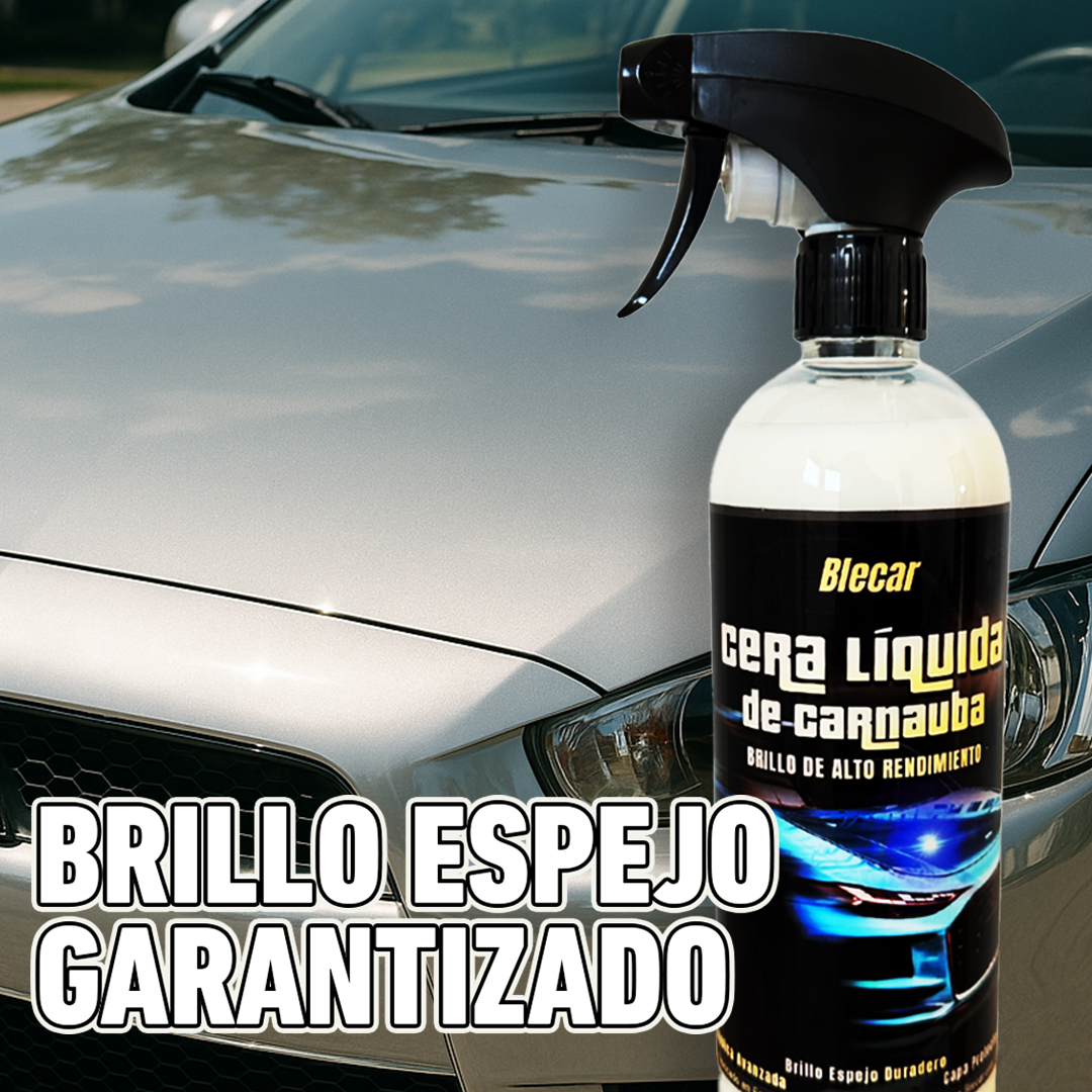 Pack Protección Hidrofobica + Cera  - 750 ML