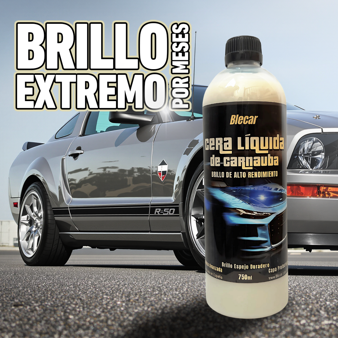 Cera de Carnauba Líquida - Brillo Espejo y Protección Duradera 15% OFF