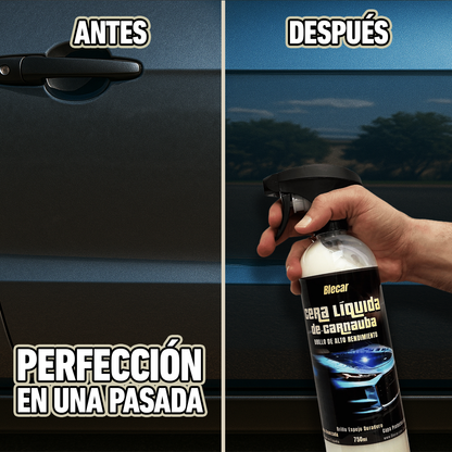 Cera de Carnauba Líquida - Brillo Espejo y Protección Duradera 15% OFF