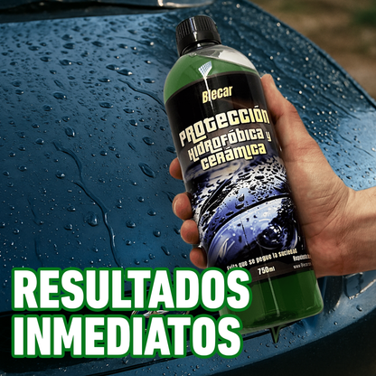 Pack Protección Hidrofobica + Cera  - 750 ML