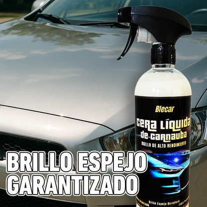 Pack Protección Hidrofobica + Cera  - 750 ML