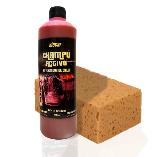 Champú Activo - Limpieza Profunda y Brillo Deslumbrante